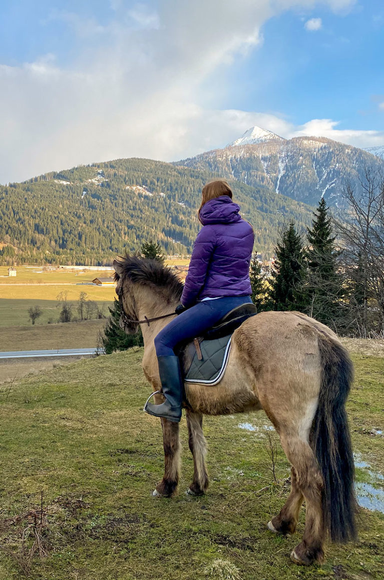 Pferdehof - Urlaub am Bauernhof in Flachau