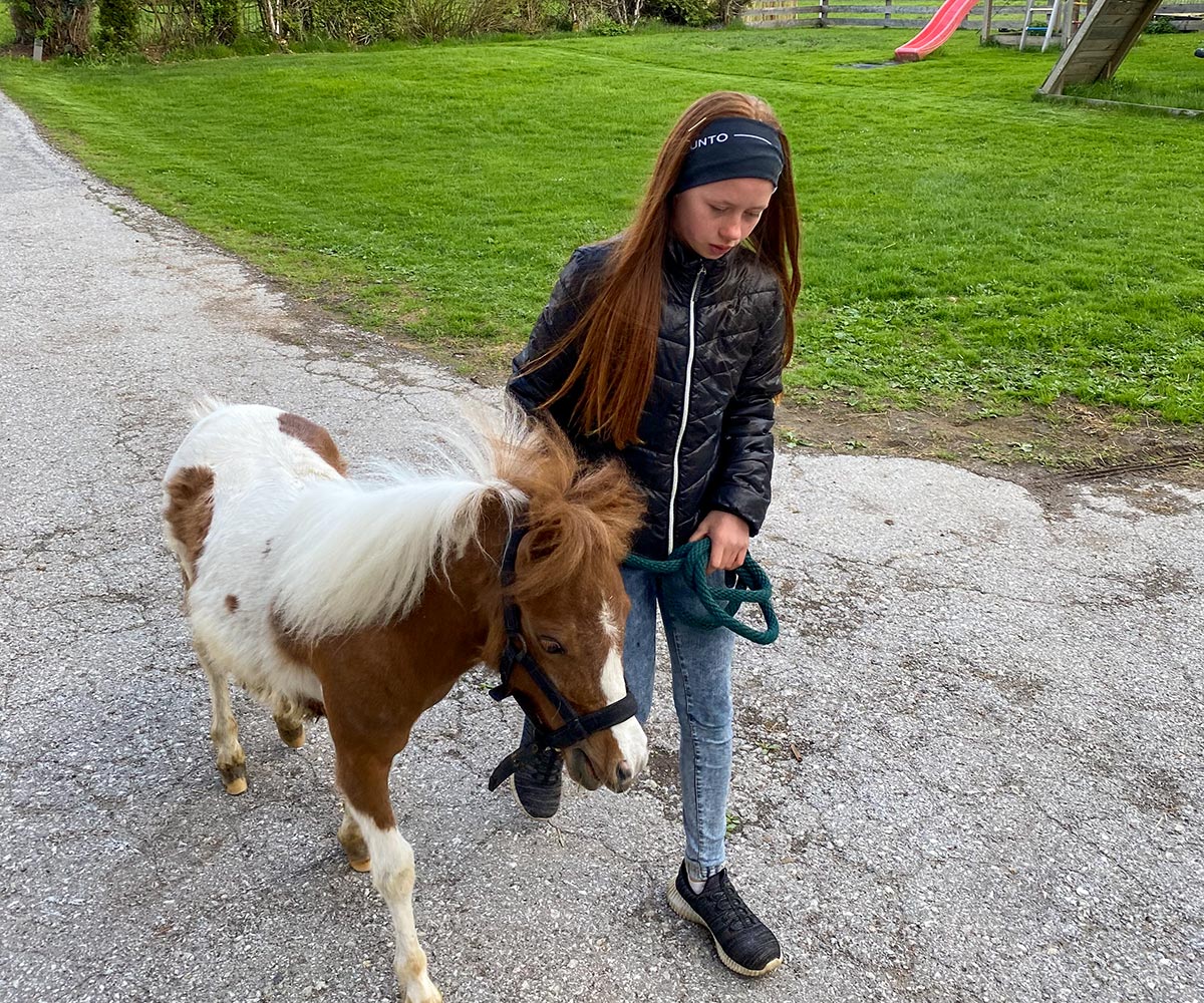 Pony am Pferdehof in Flachau, Urlaub am Bauernhof