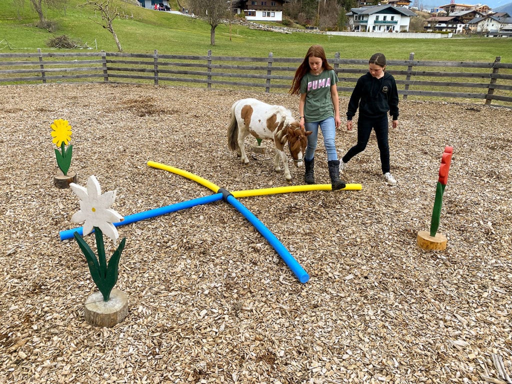 Urlaub am Bauernhof in Flachau