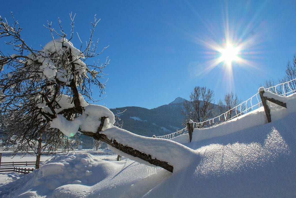 Urlaub am Bauernhof in Flachau