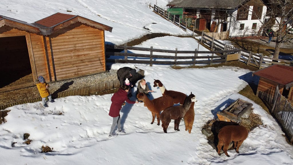 Urlaub am Bauernhof in Flachau